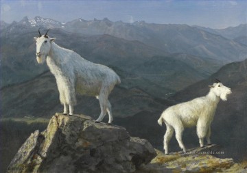  GOATS Kunst - MOUNTAIN GOATS Amerikanischer Albert Bierstadt Tier